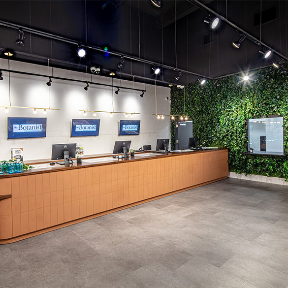 cannabis dispensary