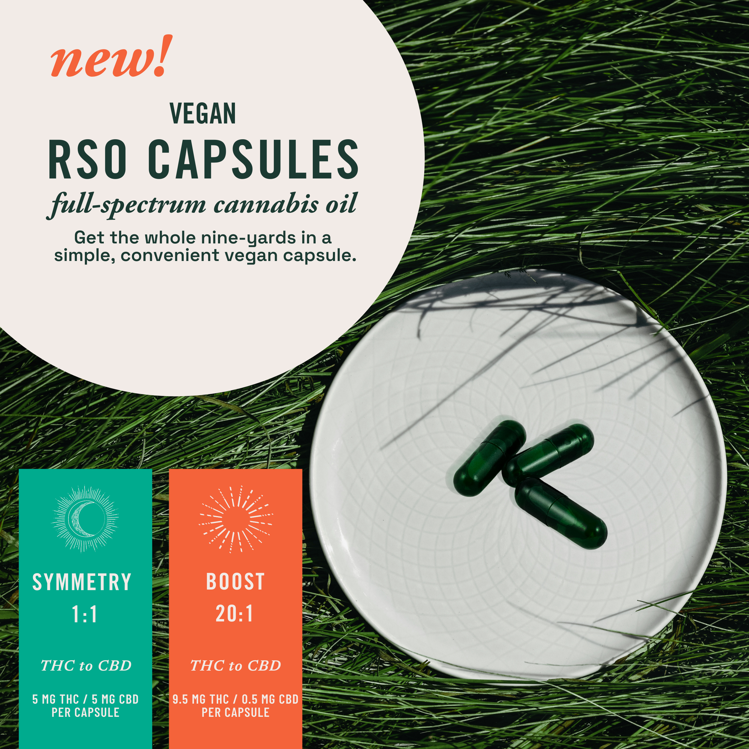 RSO Capsules on a plate