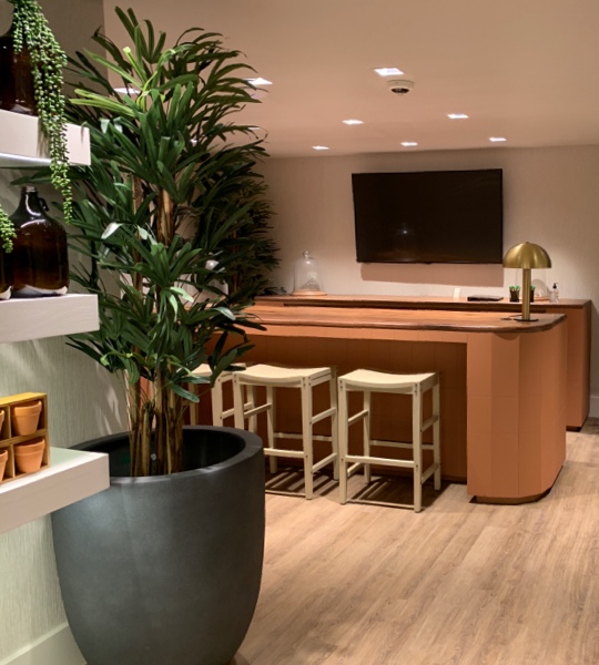 The Botanist Akron location's counter area