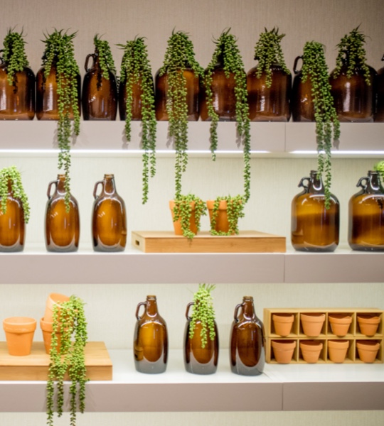 The Botanist Columbus location's plant display